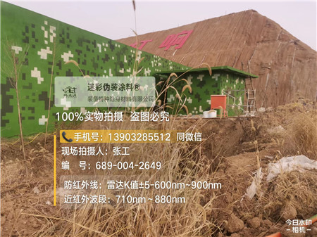 鞍山星空迷彩墙施工队