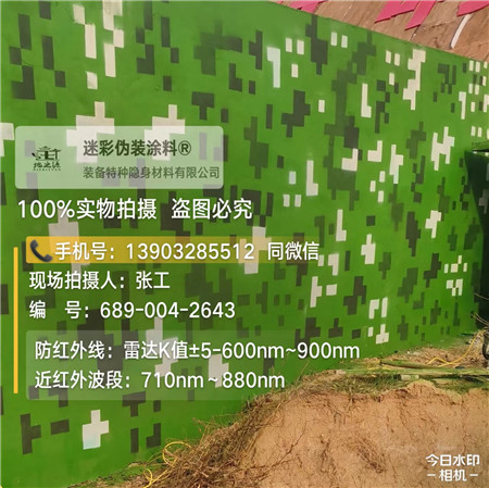 鞍山星空迷彩漆，夏令营训练,数码迷彩作训墙,围墙